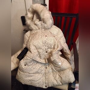 Stylish Cream and Gray Hooded Winter Coat W A Matching Wallet